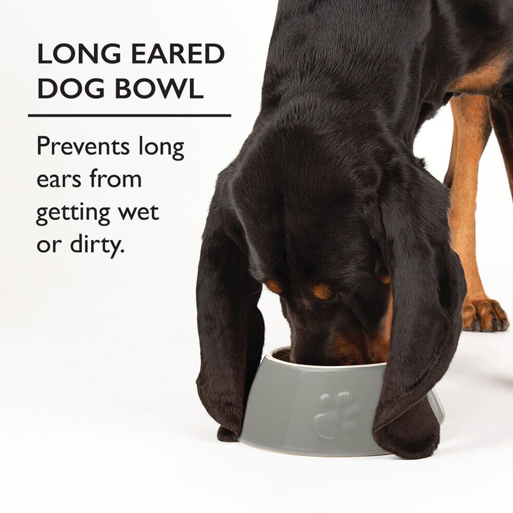 Scruffs Classic Long Eared Dog Bowl 21cm Light Grey