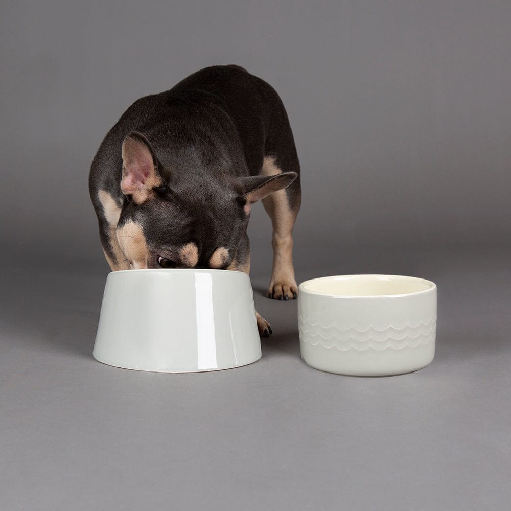 Scruffs Classic Flat Faced Pet Bowl 18cm Light Grey