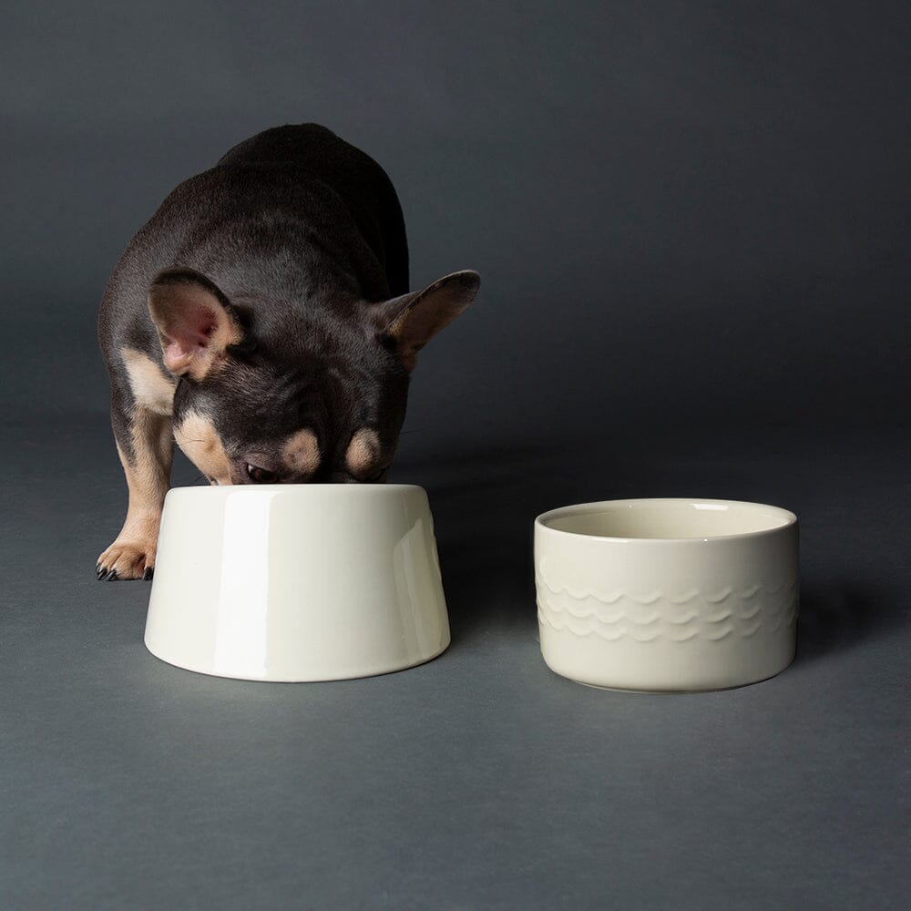 Scruffs Icon Flat Faced Pet Bowl Cream 18cm