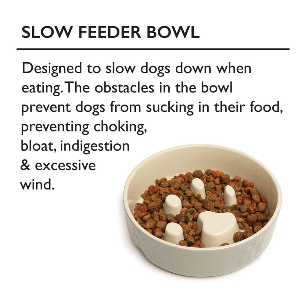 Scruffs Icon Slow Feeder Pet Bowl Cream