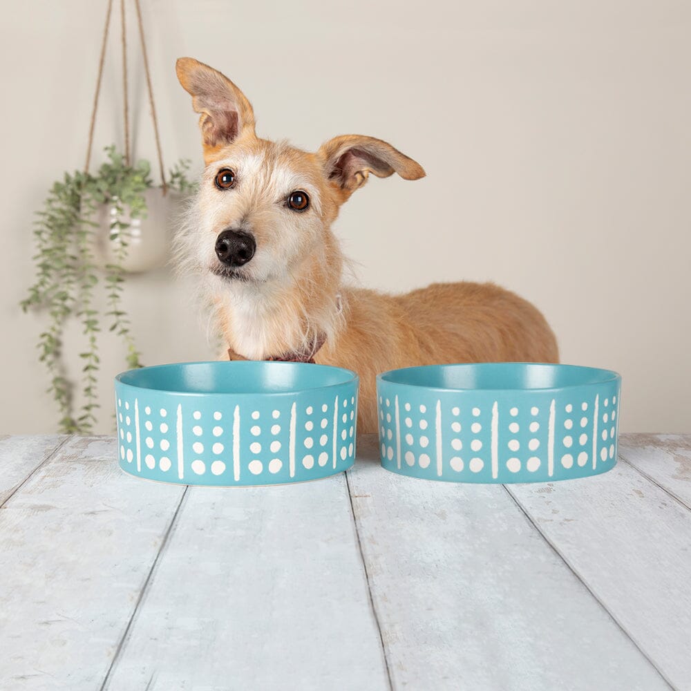 Scruffs Aztec Food Bowl - 15cm Turquoise