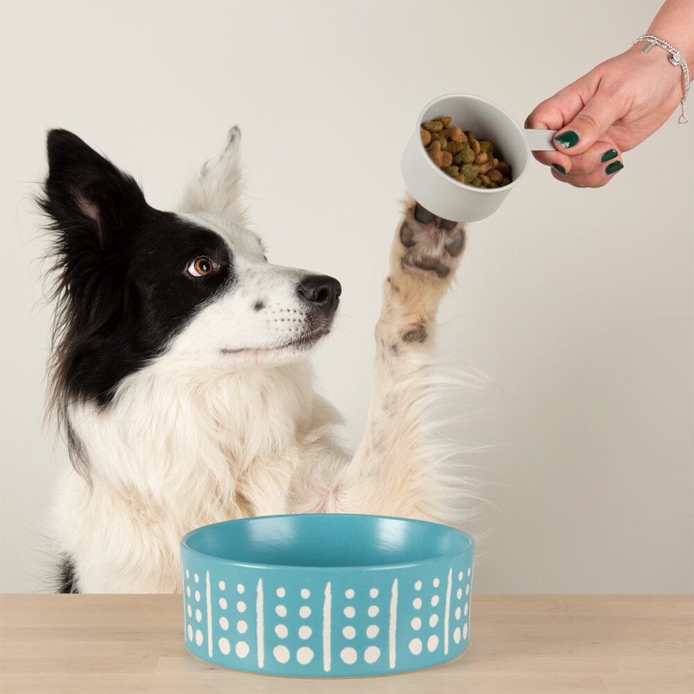 Scruffs Aztec Food Bowl - 15cm Turquoise