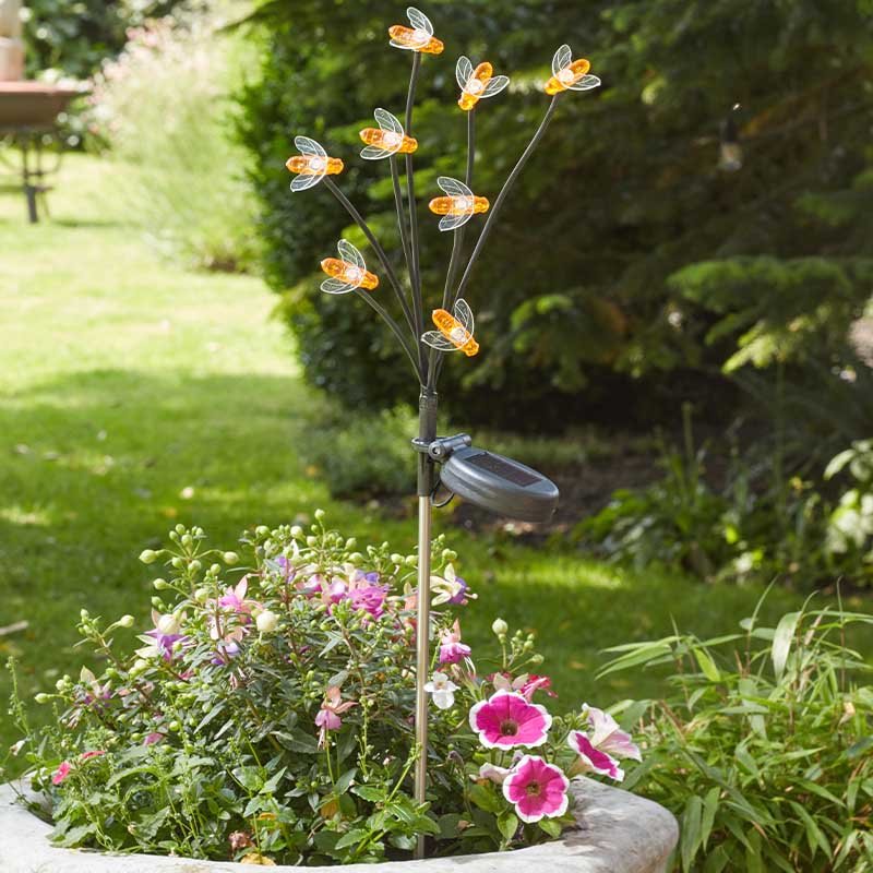 Smart Garden 8-Stem BeeLights