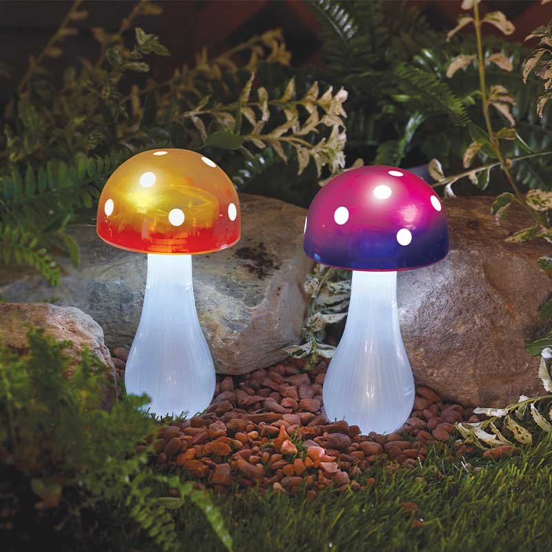 Smart Garden Button Shroom Mixed