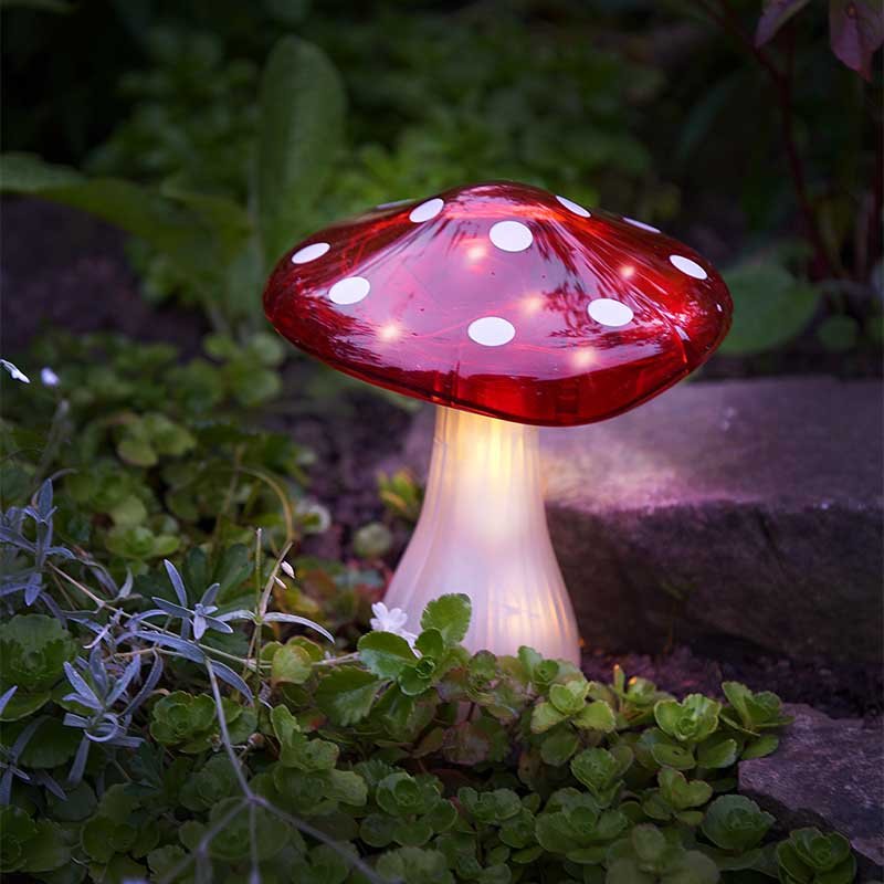 Smart Garden Magic Mega Mushroom