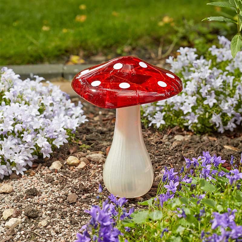 Smart Garden Magic Mega Mushroom