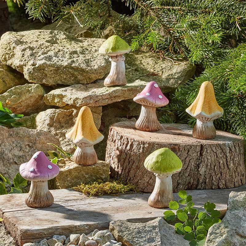 Smart Garden DecoShrooms 6 Pack Large