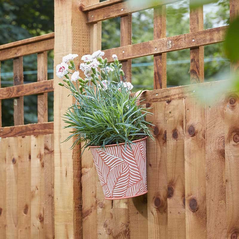 Smart Garden 6in Fence & Balcony Hanging Pot  - Fern - Terracotta