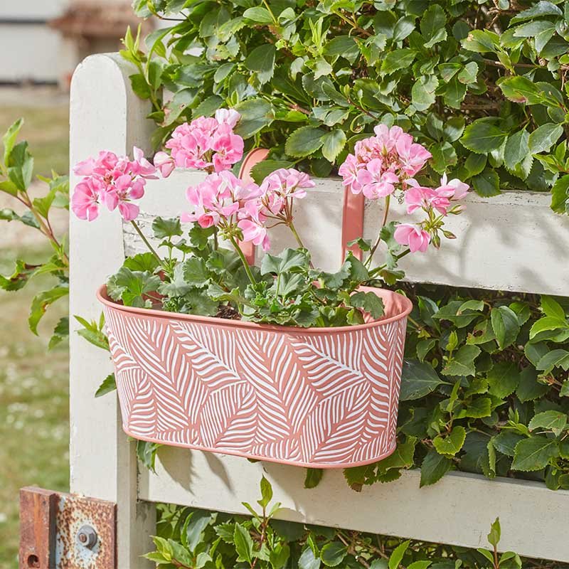 Smart Garden 12in Fence & Balcony Hanging Planter - Fern - Terracotta