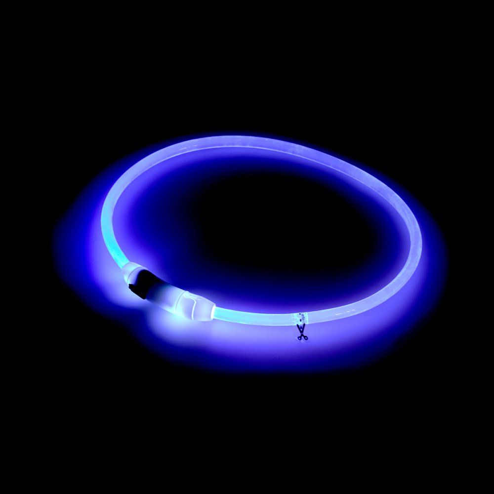 Petface LED Ring Dog Collar