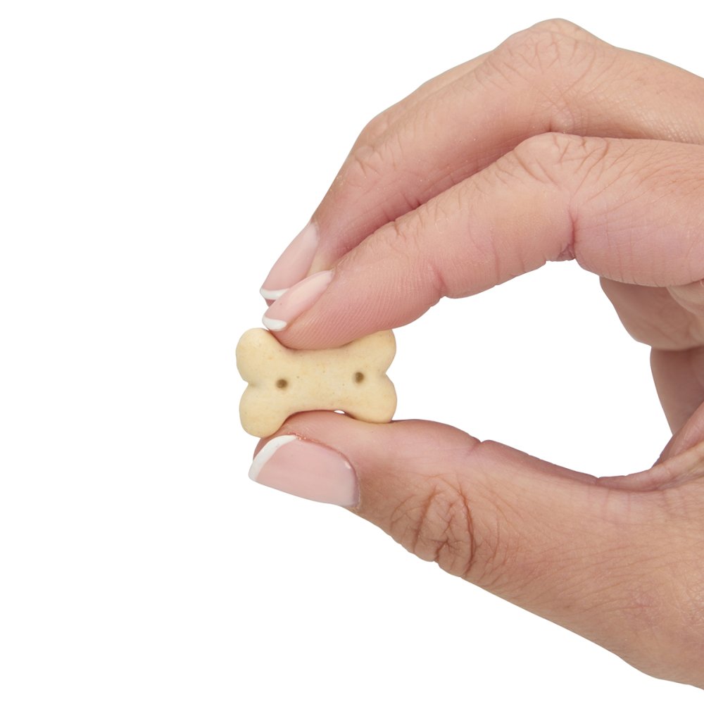 Pet Face Dog Deli Good Morning Biscotti Dog Treats 300g