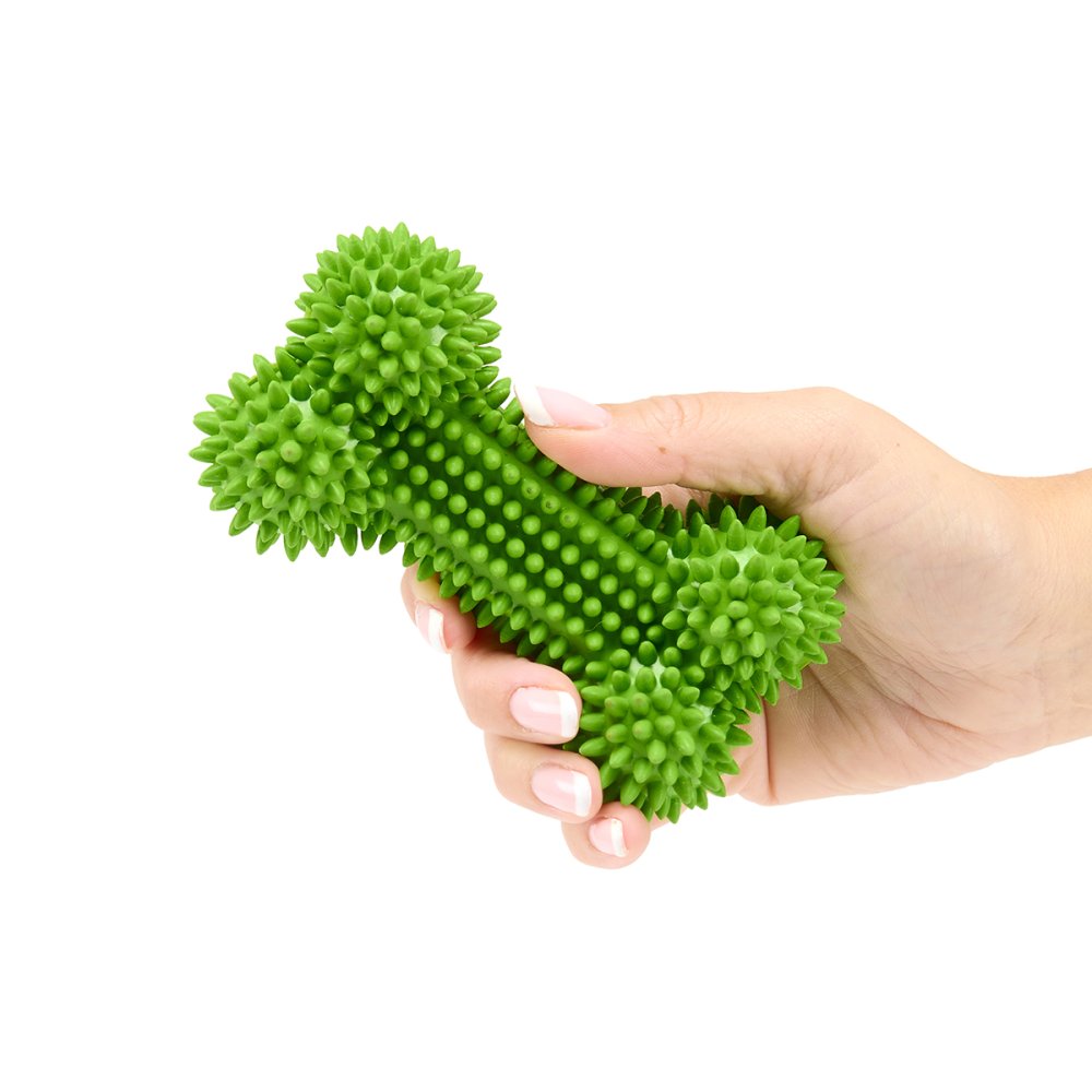 Petface Toyz Treat Bone Dog Toy 13cm