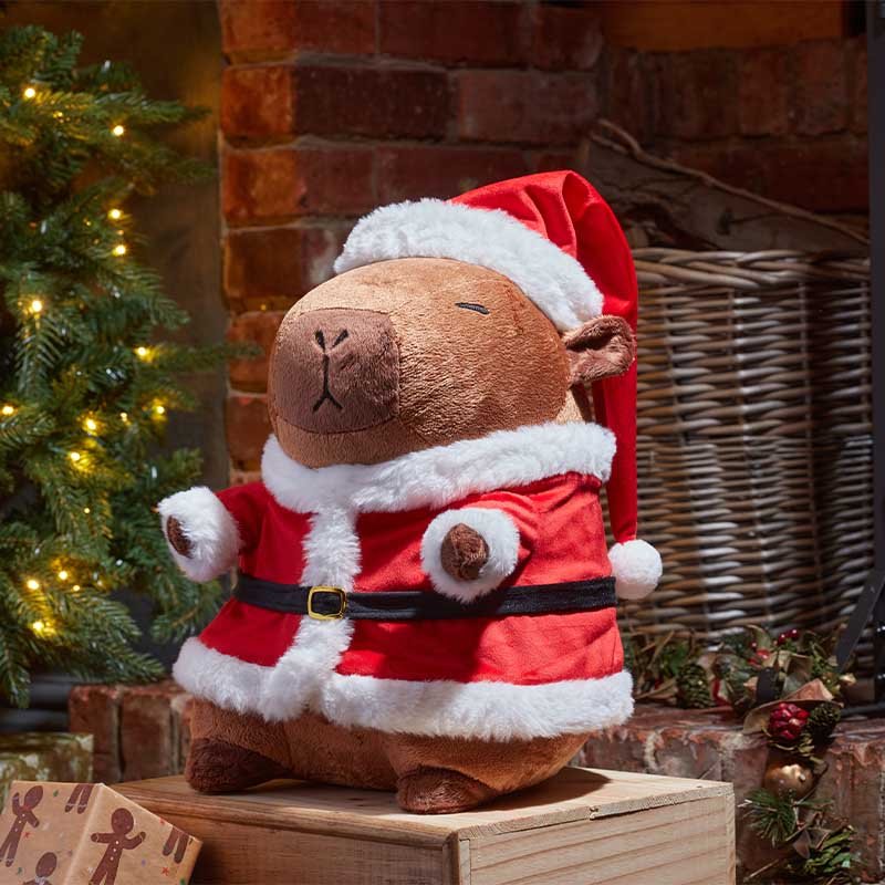Smart Garden Santa Capybara - Large