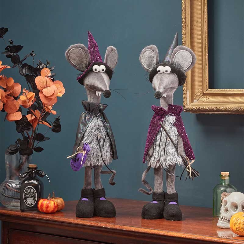 Smart Garden Standing Witch Rat Single Assorted