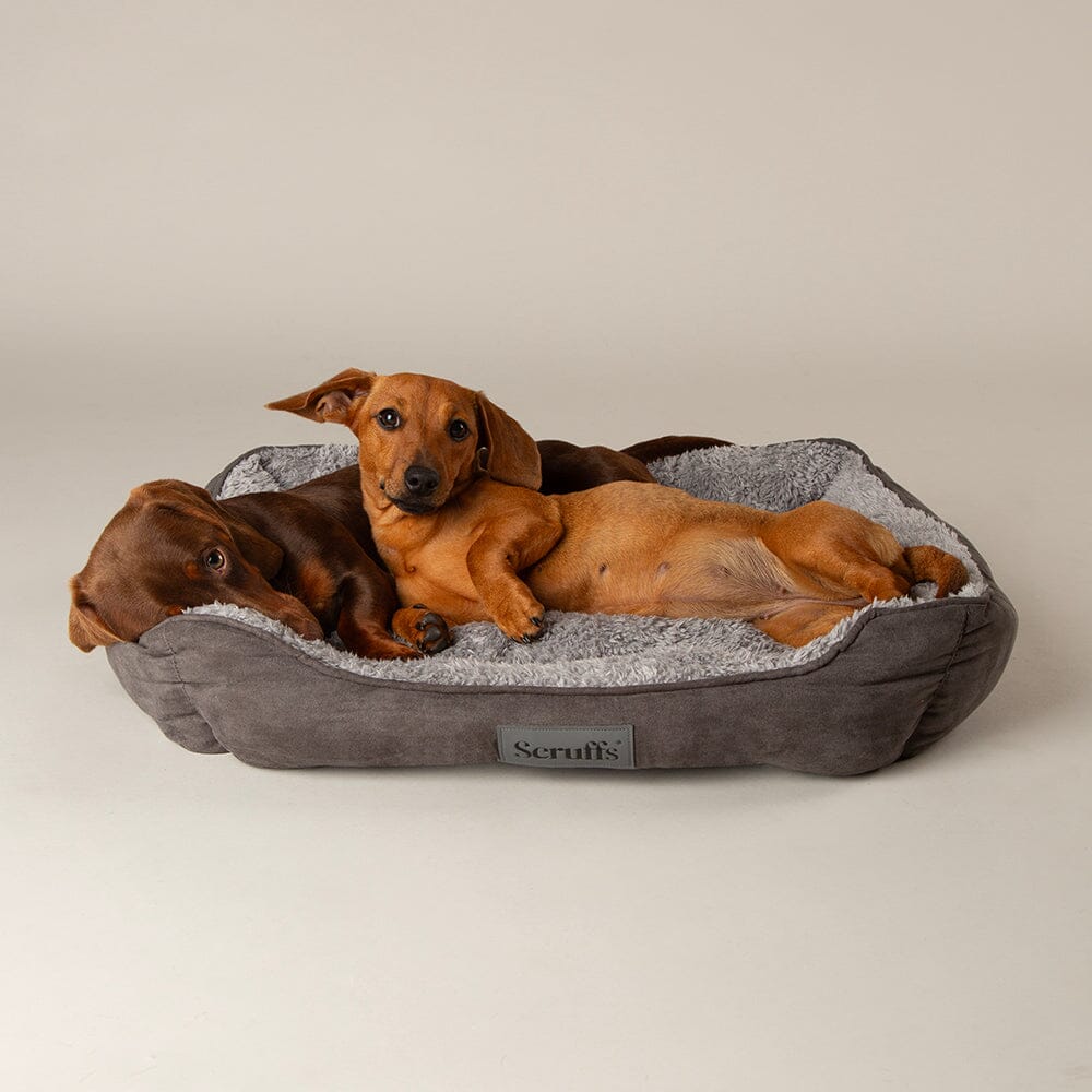 Scruffs Cosy Box Bed Grey