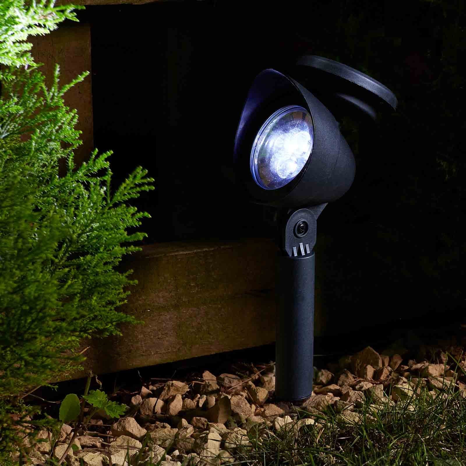 Smart Garden Prima 5L Spotlight
