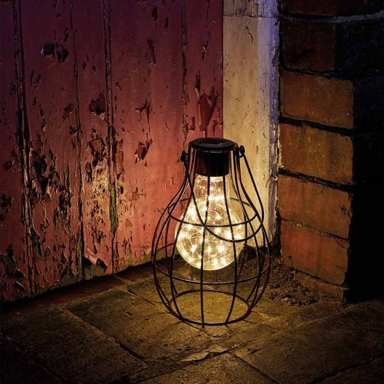 Smart Garden Eureka! Firefly - Large