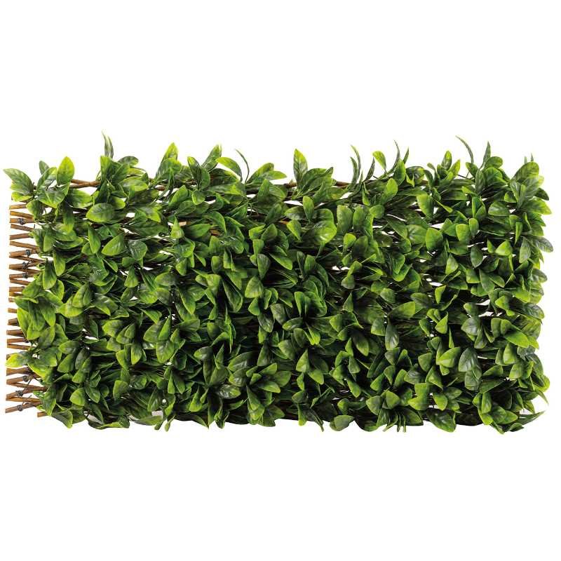 Smart Garden Lemon Leaf 180 x 60cm Trellis