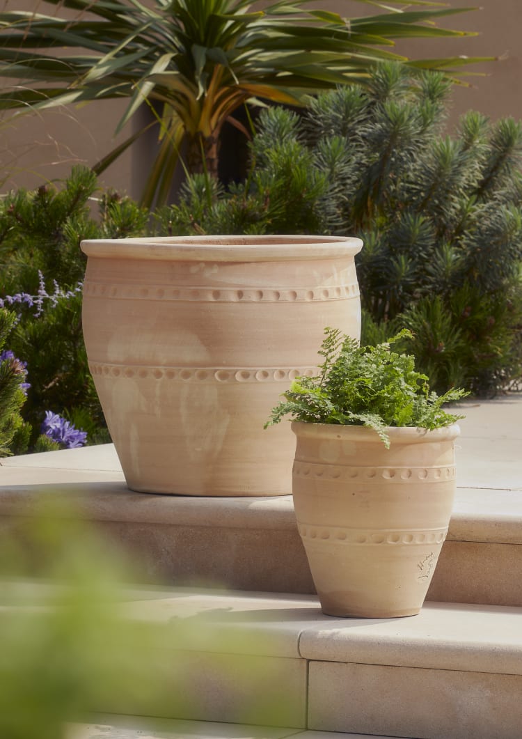 Aaliyan Pot