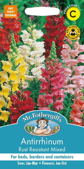Mr. Fotheringhills Antirrhinum Rust Resistant Mixed