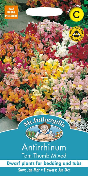 Mr. Fotheringhills Antirrhinum Tom Thumb Mixed