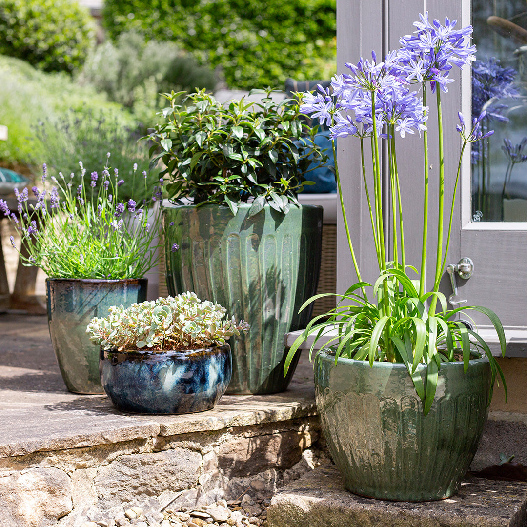 Apta Eden Midnight Green Glazed Low Planter