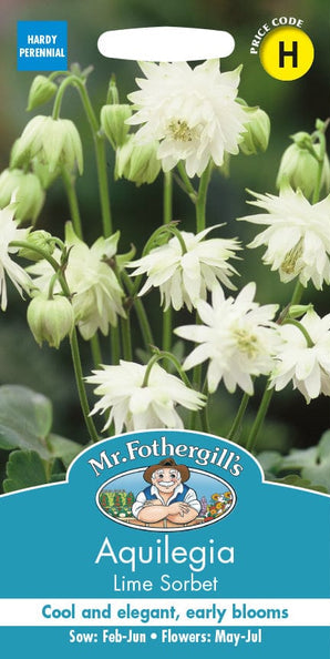 Mr. Fotheringhills Aquilegia Lime Sorbet
