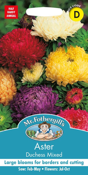 Mr. Fotheringhills Aster Duchess Mixed