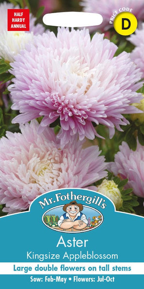 Mr. Fotheringhills Aster Kingsize Appleblossom