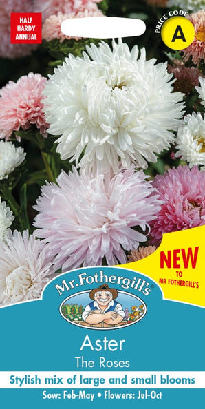 Mr. Fotheringhills Aster The Roses