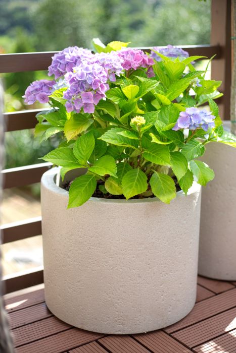Apta Beton Low Cylinder Sand 40cm