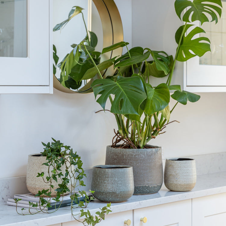 Ivyline Celeste Grey Planter