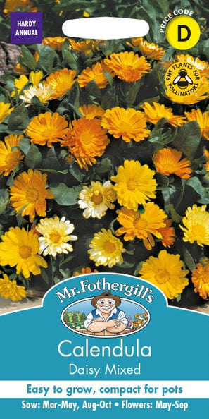 Mr. Fotheringhills Calendula Daisy Mixed