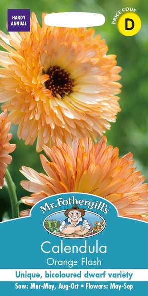 Mr. Fotheringhills Calendula Orange Flash
