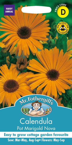 Mr. Fotheringhills Calendula Pot Marigold Nova