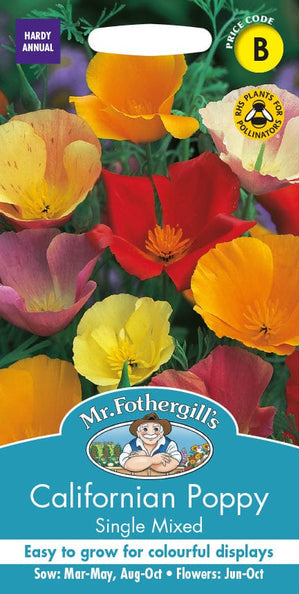 Mr. Fotheringhills Californian Poppy Single Mixed