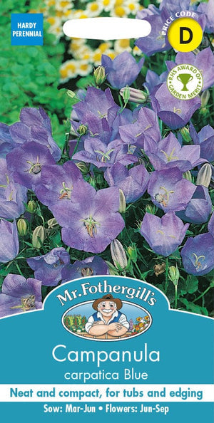 Mr. Fotheringhills Campanula Carpatica Blue