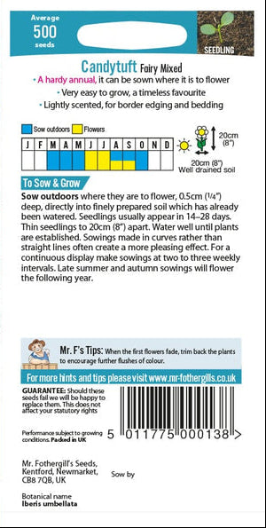 Mr. Fotheringhills Candytuft Fairy Mixed Seeds