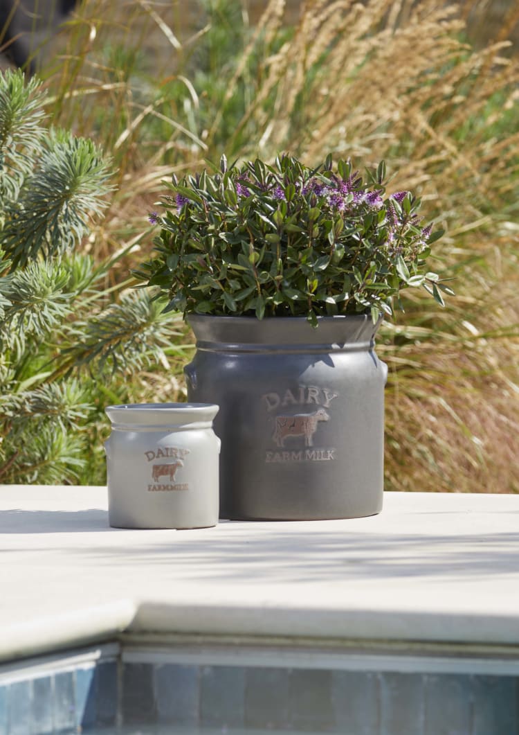 Dairy Matte Pots