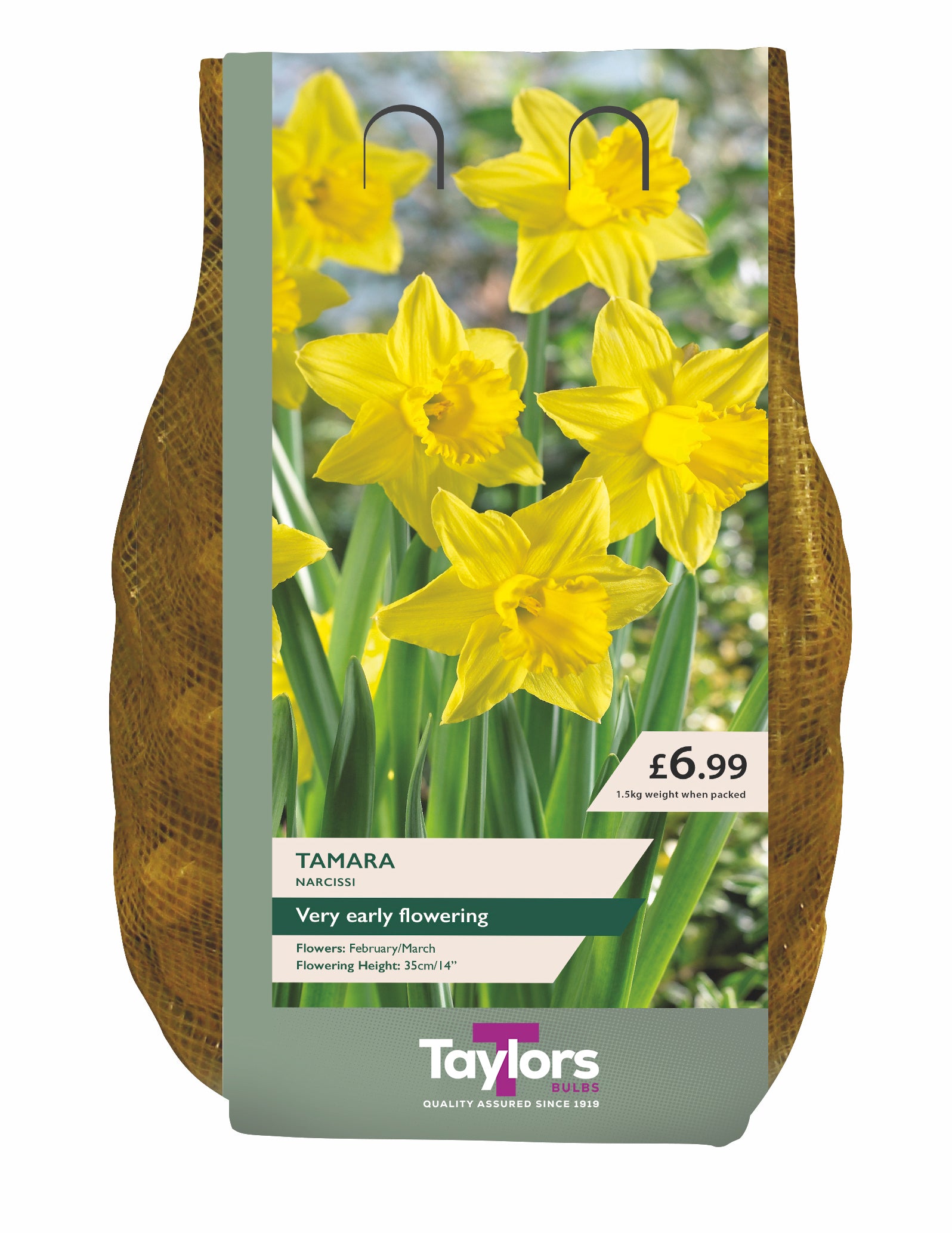 Taylor's Bulbs Carripack Narcissus Tamara 1.5Kg