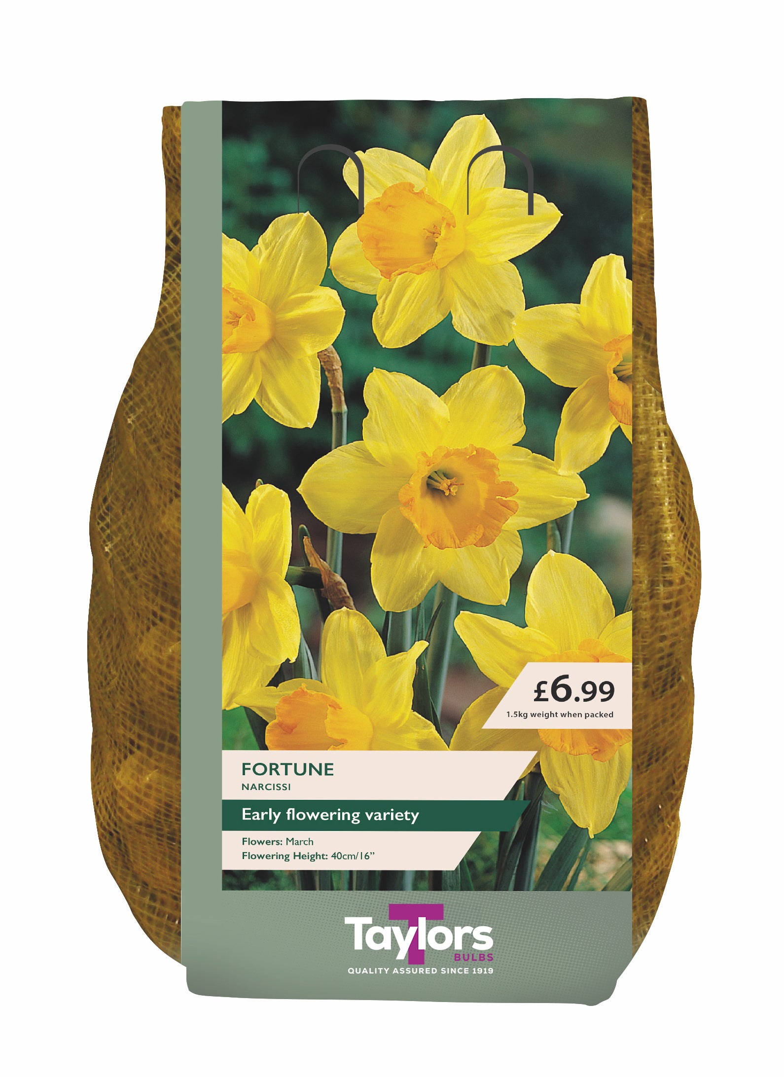 Taylor's Bulbs Carripack Narcissus Fortune 1.5Kg