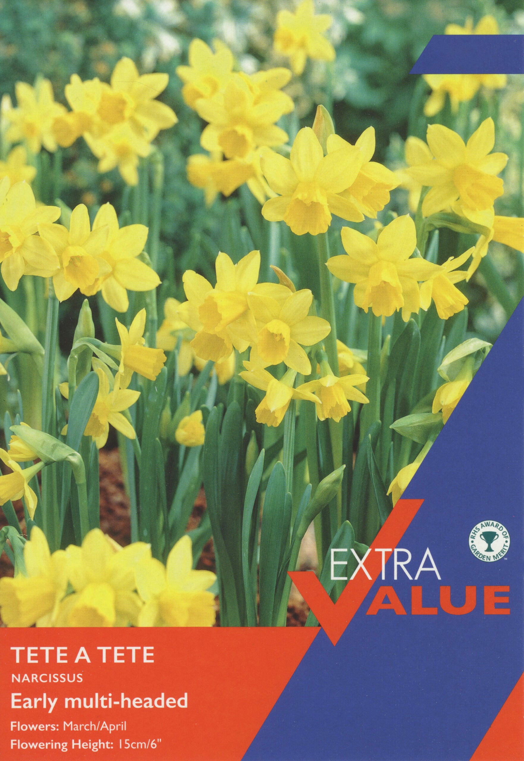 Taylor's Bulbs Extra Value Narcissus Tete A Tete