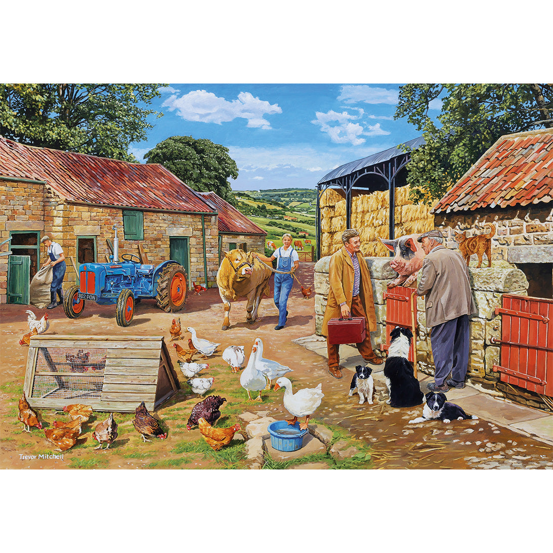 Gibsons Call the Vet 4 x 500 Piece Jigsaw Puzzles