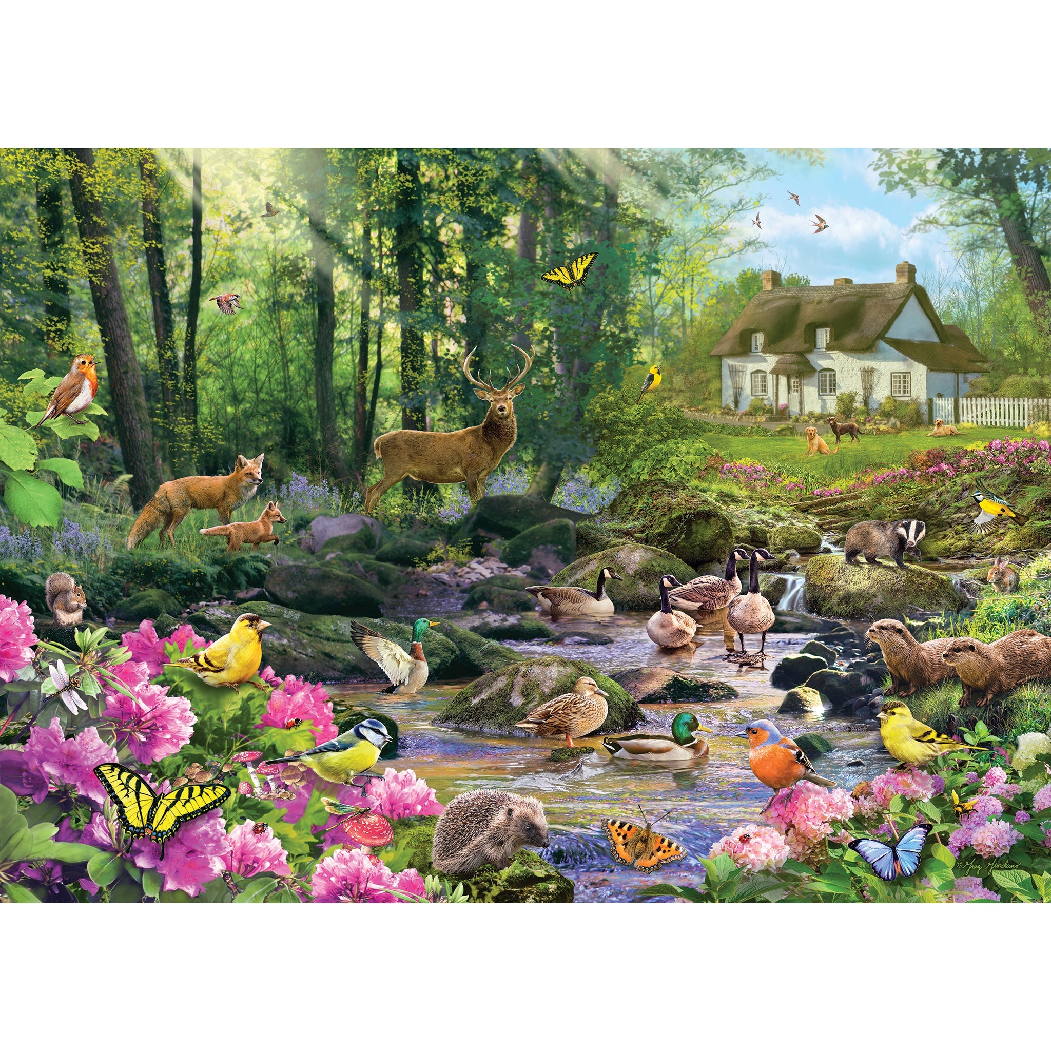 Gibsons Woodland Glade 1000 Piece Jigsaw Puzzle