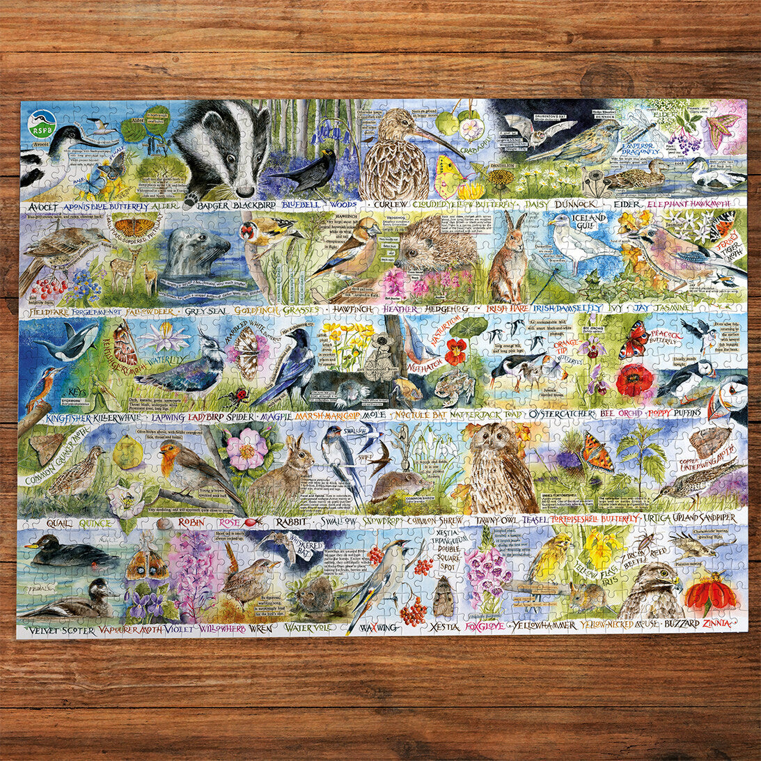 Gibsons RSPB Birdsong & Bluebells 1000 Piece Jigsaw Puzzle