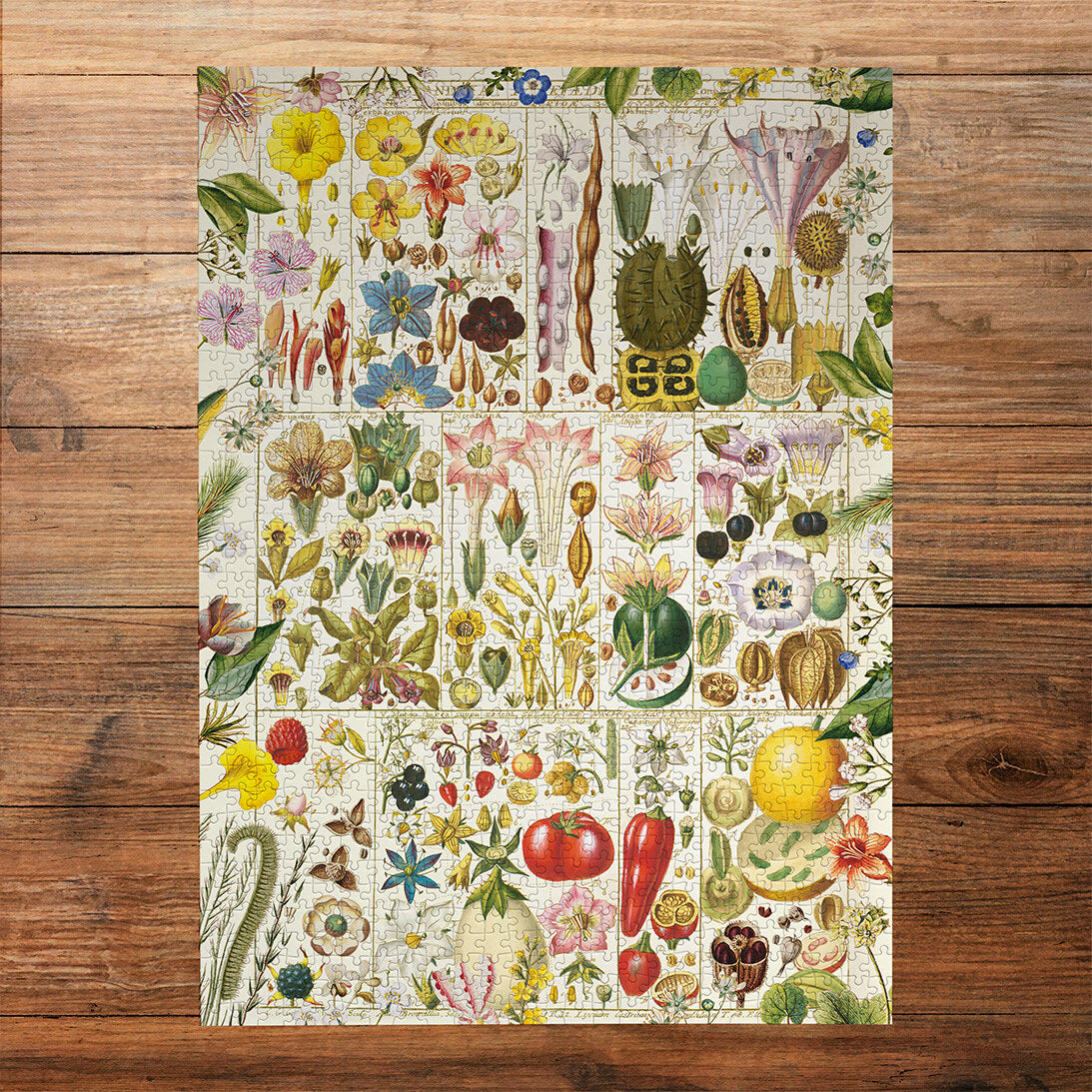 Gibsons RHS Botanical Bliss 1000 Piece Jigsaw Puzzle