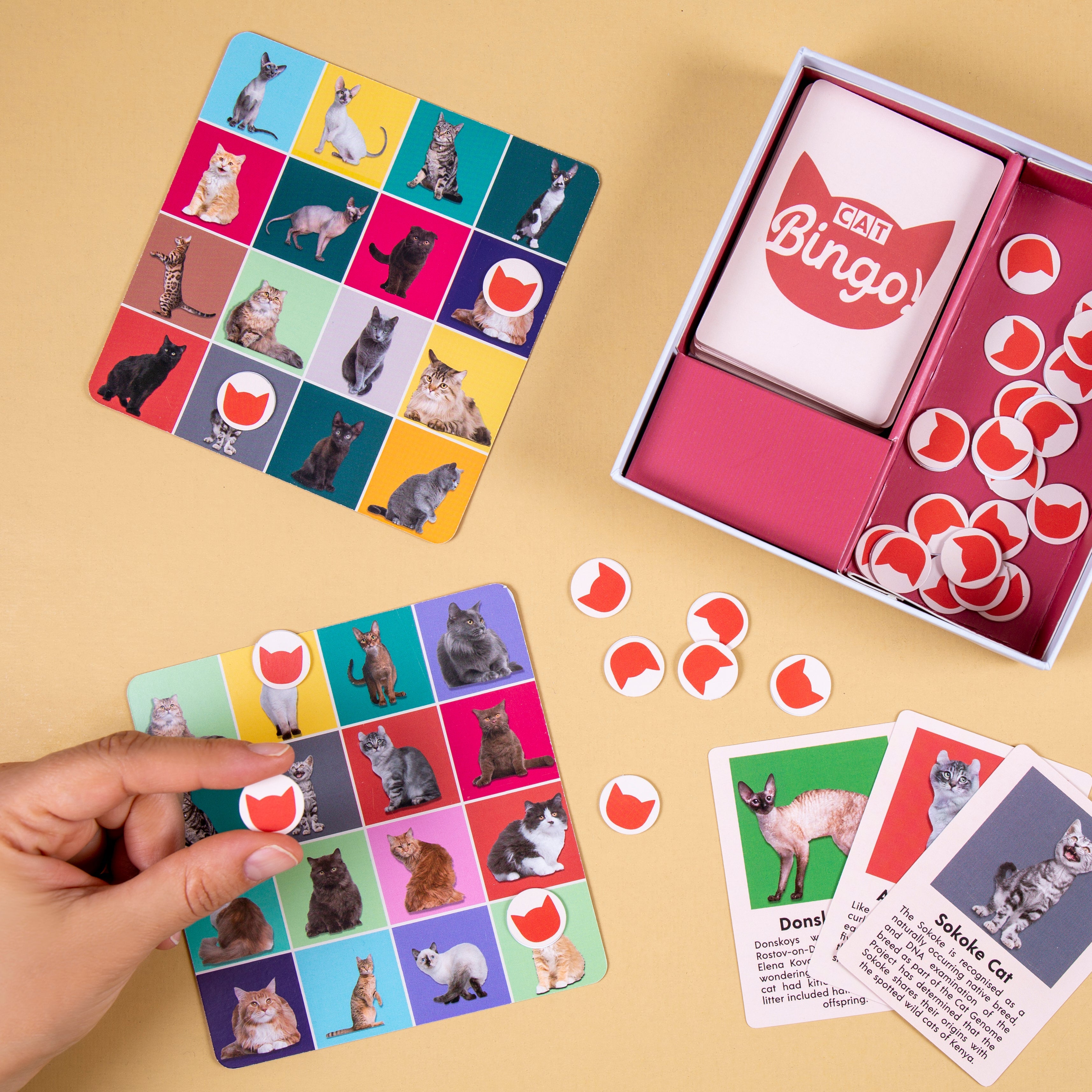 Kikkerland Cat Bingo