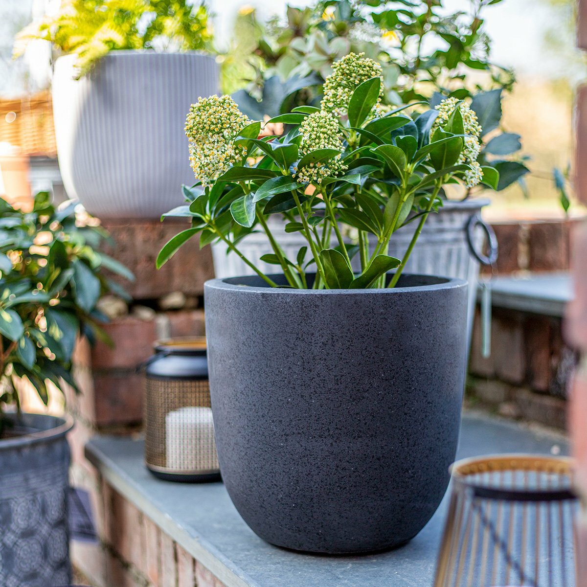 Apta Granito Black Egg Pot