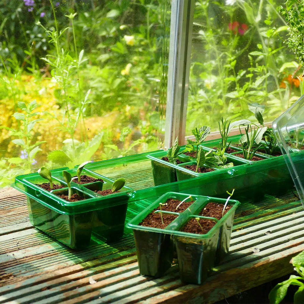 Gro-Sure Visiroot Windowsill Propagator