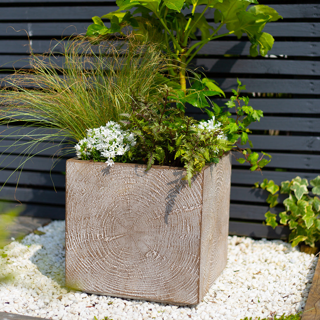Apta Heartwood Cube